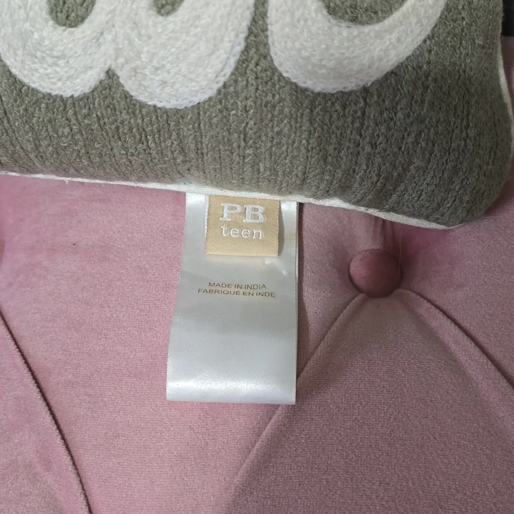 Pottery barn teen bonjour pillow